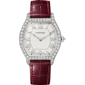 RELOJ TORTUE